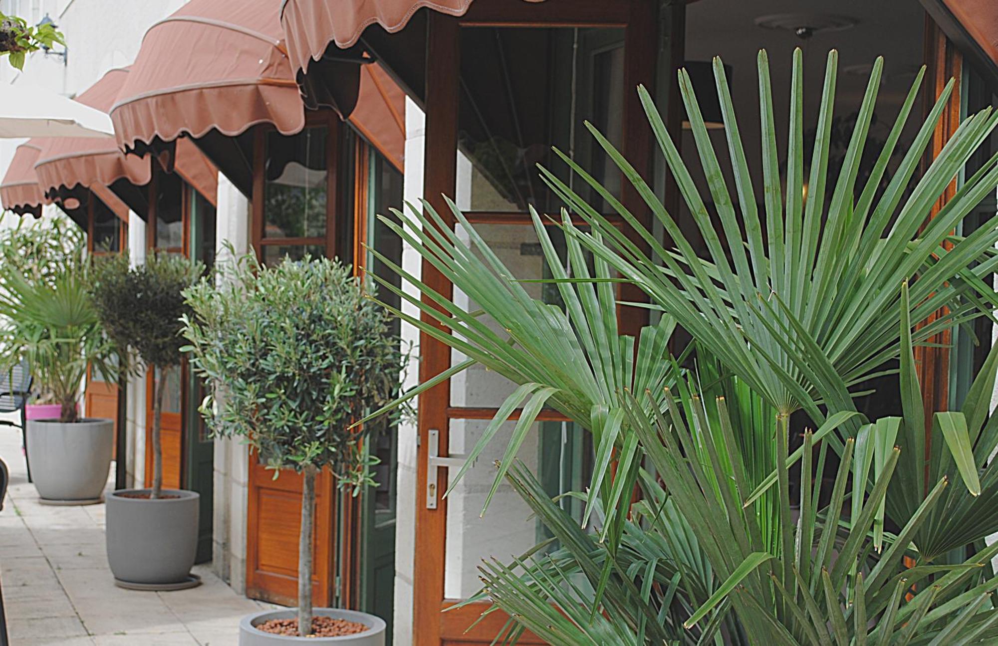 Logis Hostellerie Du Perigord Vert Brantôme Exteriér fotografie